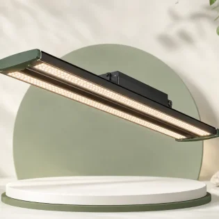 Rasvjeta