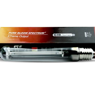 Sijalka GIB, Pure Bloom (XTreme Output) 600W