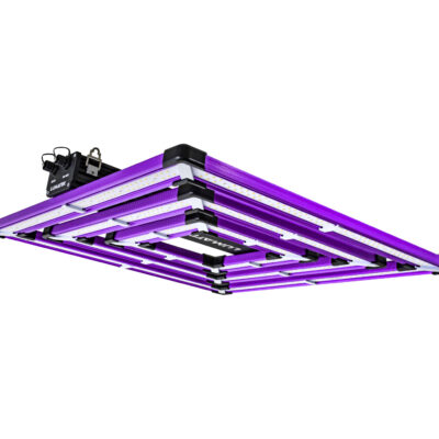 Lumatek ATS PRO 300w LED