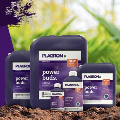 Plagron Power Buds