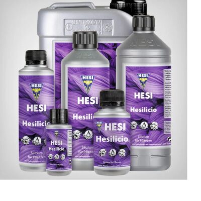 Hesi Hesilicio