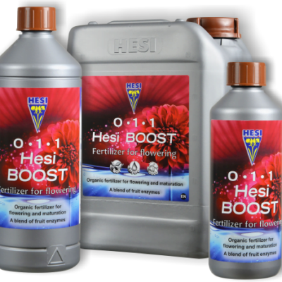 Hesi Boost