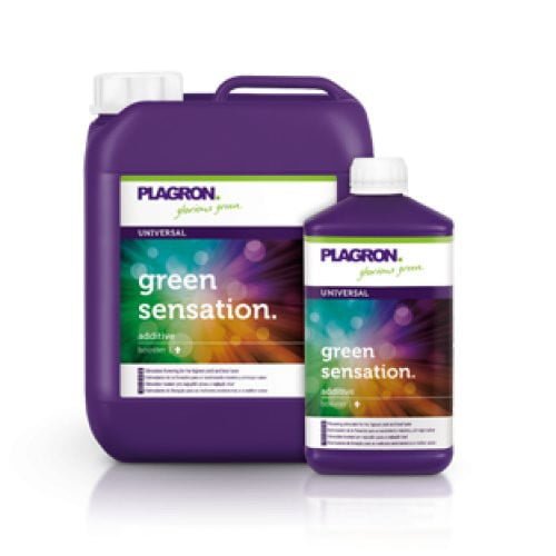 Plagron Green Sensation