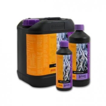 Atami B-Cuzz Root Stimulator