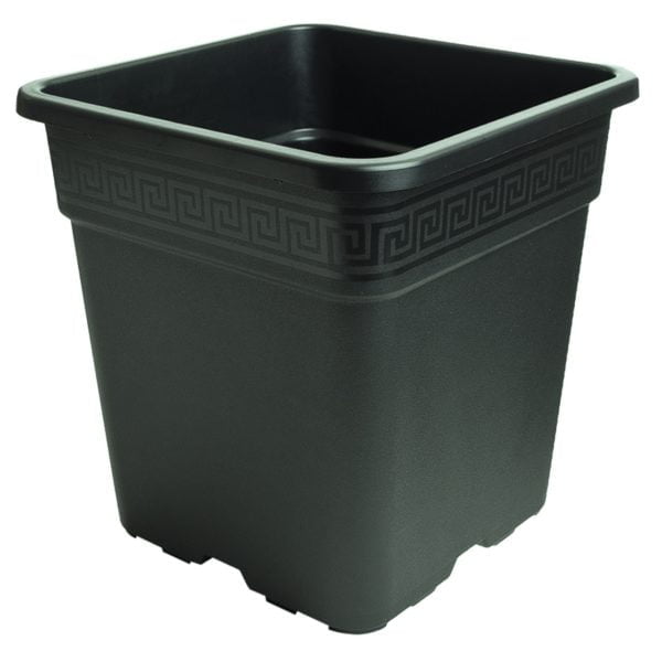 Vaza (več dimenzij)